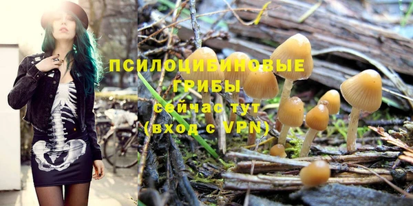 соль курить ск Гусев