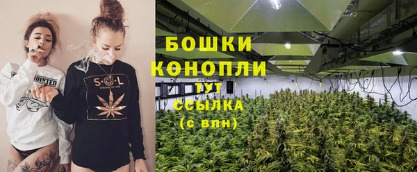 стафф Гусь-Хрустальный