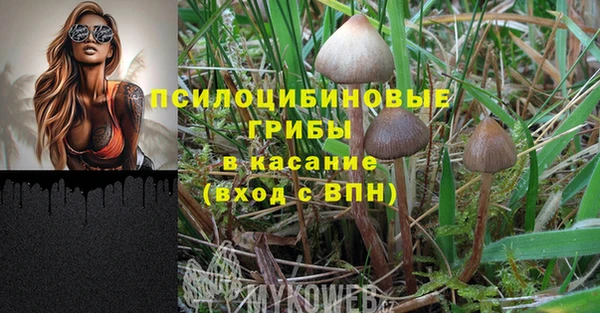 соль курить ск Гусев