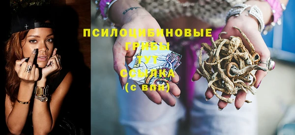 стафф Гусь-Хрустальный